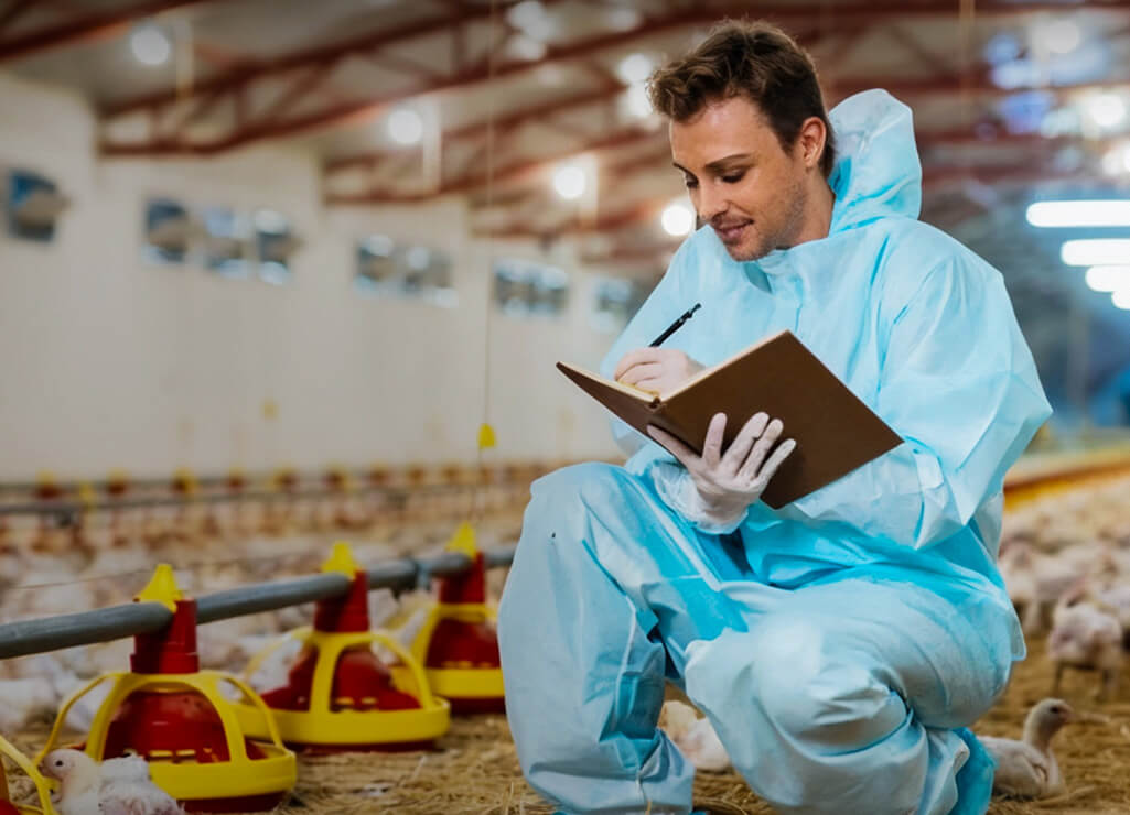 Kotak Peralatan Ayam Broiler