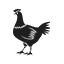 Kotak Peralatan Ayam Broiler