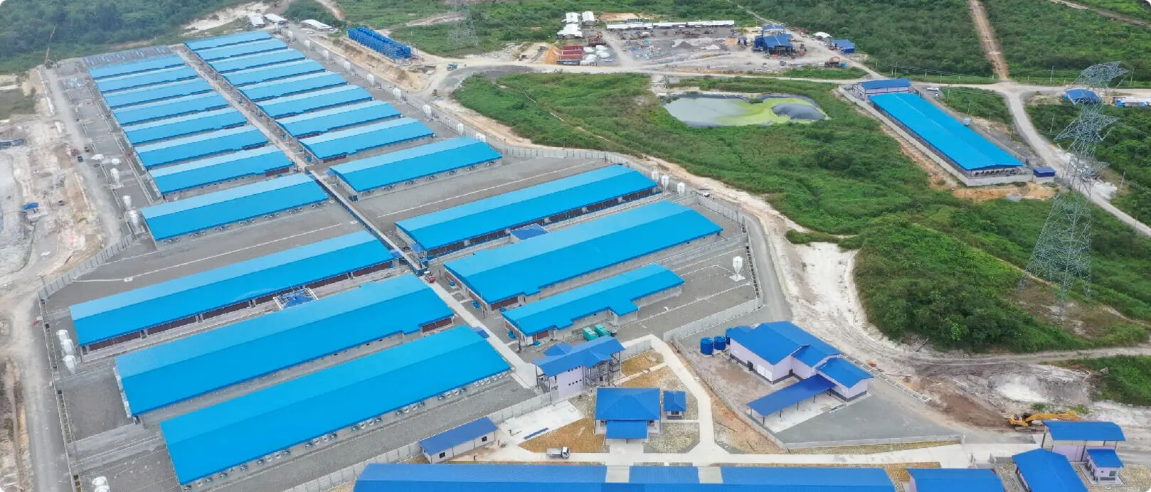 Proyek Peternakan 2.000 Induk Babi di Malaysia