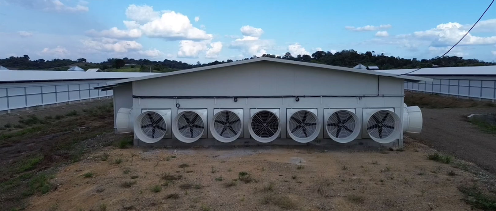 Proyek Pemeliharaan Ayam Broiler di Lantai Ekuador