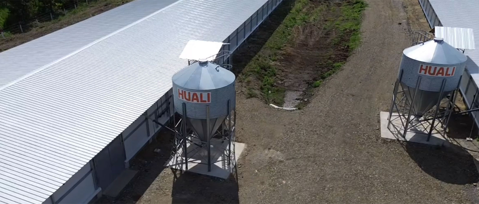 Proyek Pemeliharaan Ayam Broiler di Lantai Ekuador