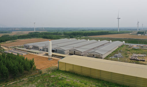 Proyek Kandang Ayam Petelur Qingdao GaoTianRan