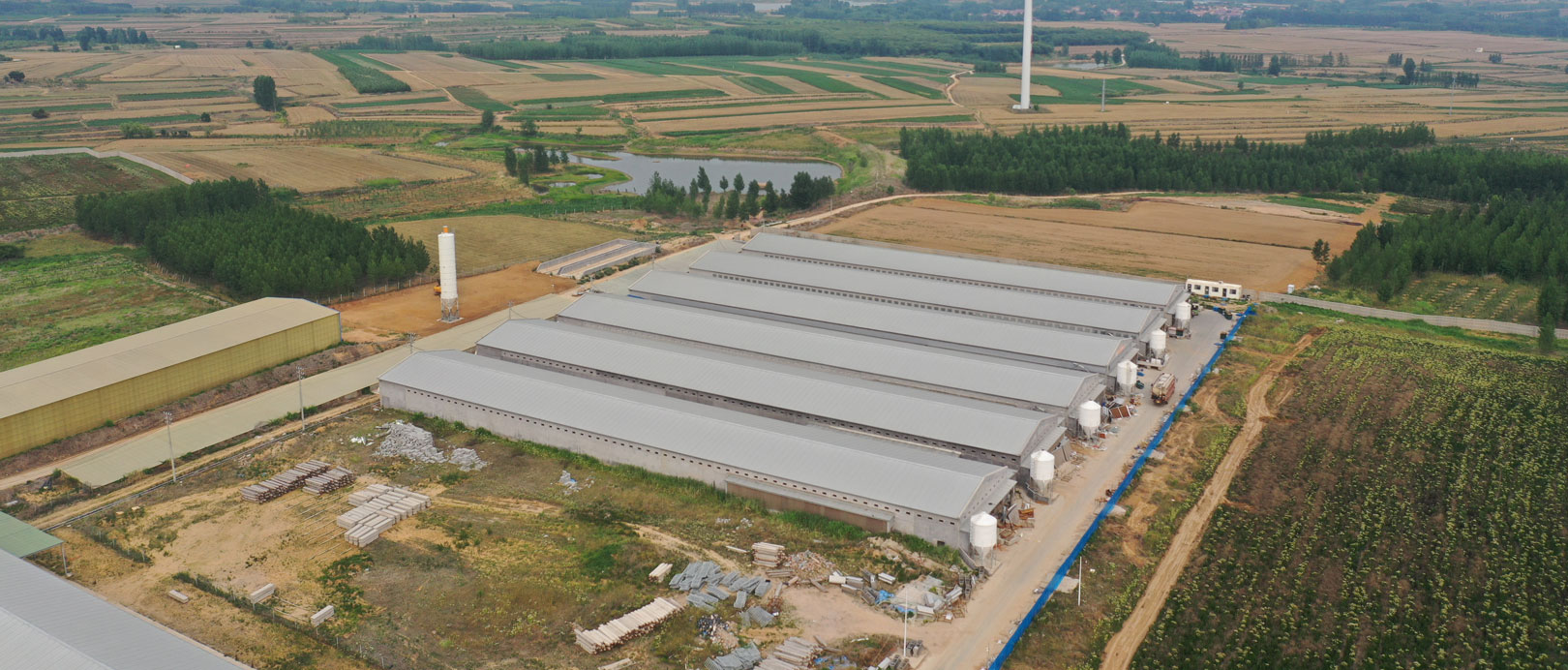 Proyek Kandang Ayam Petelur Qingdao GaoTianRan