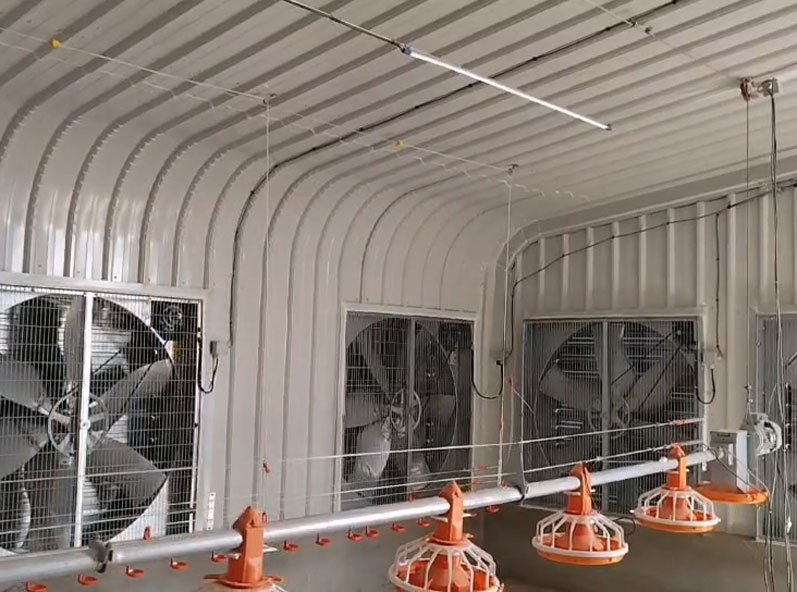 Proyek Pemeliharaan Ayam Broiler di Lantai Arab Saudi