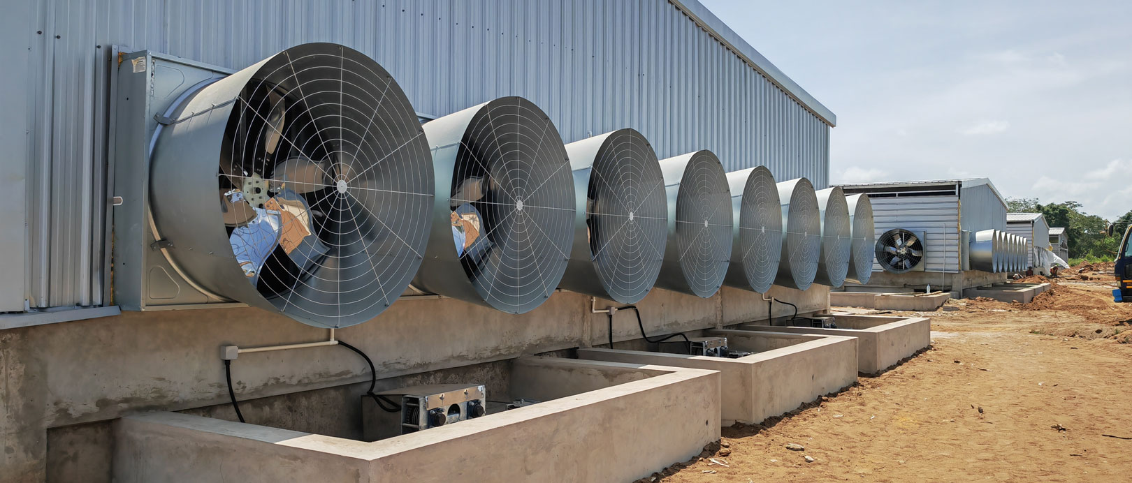 Proyek Pemeliharaan Ayam Broiler di Lantai Tanzania