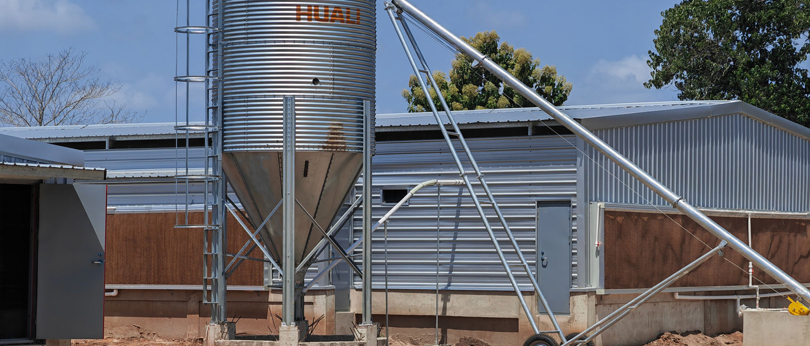 Proyek Pemeliharaan Ayam Broiler di Lantai Tanzania