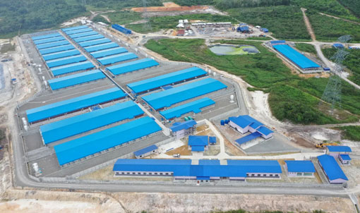 Proyek Peternakan 2.000 Induk Babi di Malaysia
