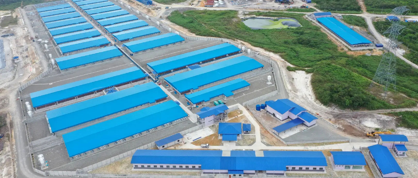Proyek Peternakan 2.000 Induk Babi di Malaysia