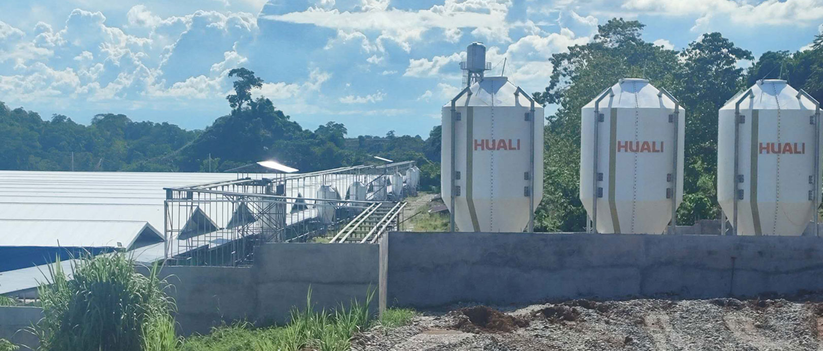 Proyek Peternakan Babi 3.000 Induk di Filipina
