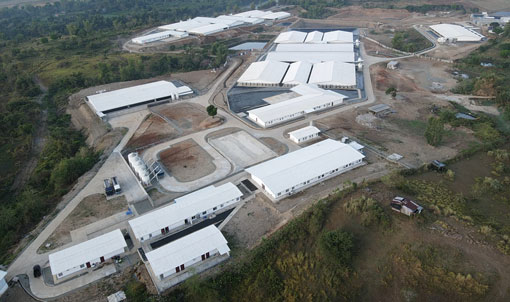 Proyek Peternakan Babi 5.000 PS di Filipina