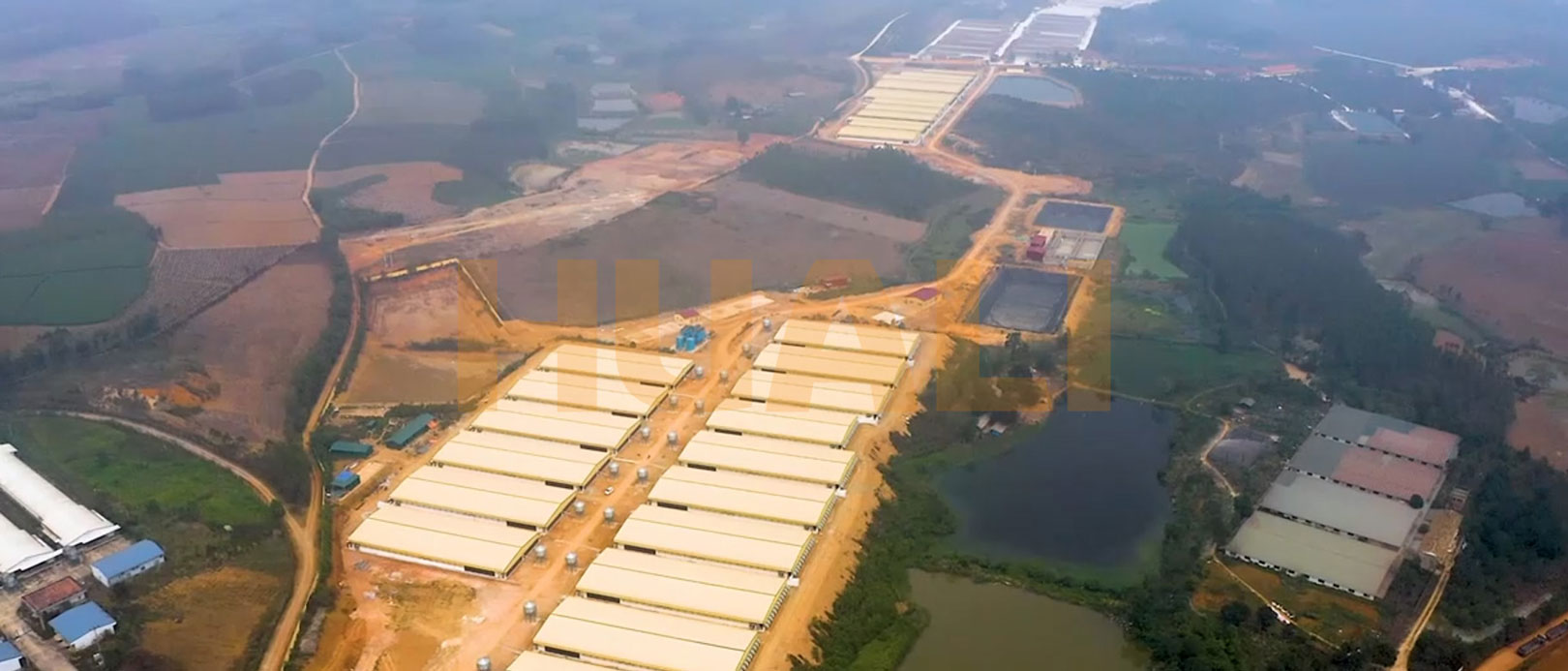 Proyek Peternakan Penggemukan Vietnam