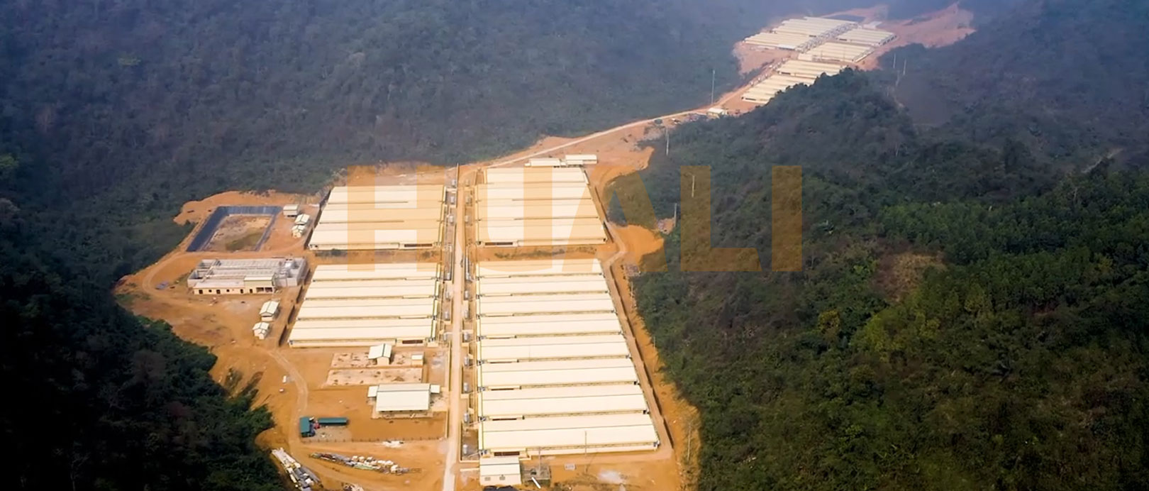 Proyek Peternakan Penggemukan Vietnam
