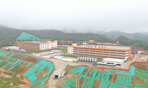 Proyek Peternakan Babi Bertingkat Guangdong Jinxinnong