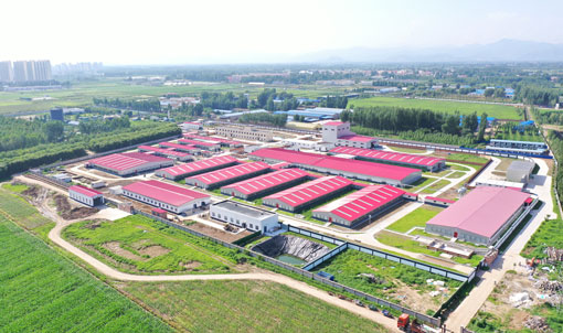 Basis Eksperimental Proyek Peternakan CAU Zhuozhou Hebei