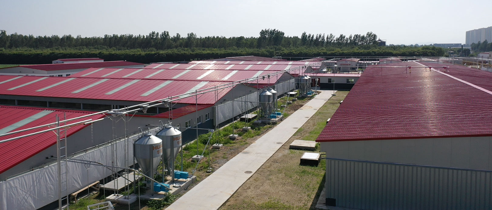 Basis Eksperimental Proyek Peternakan CAU Zhuozhou Hebei