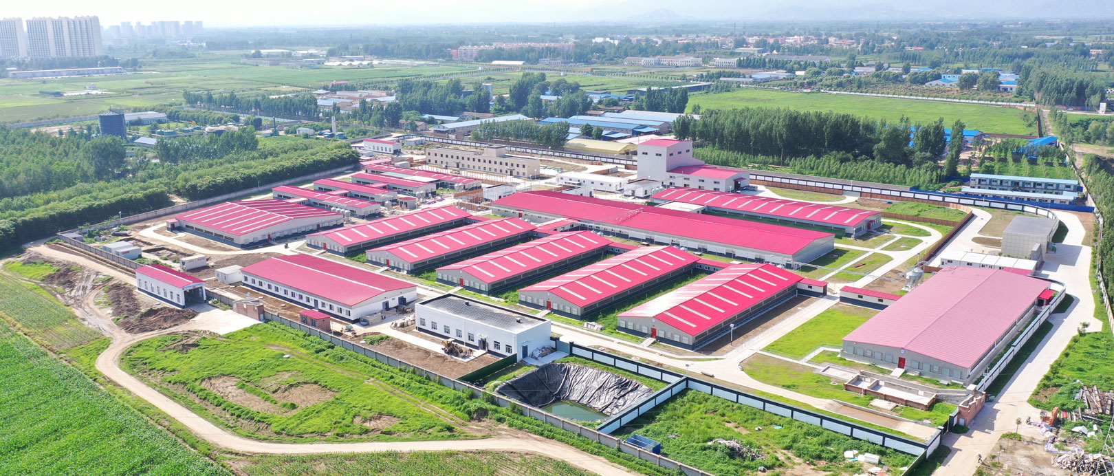 Basis Eksperimental Proyek Peternakan CAU Zhuozhou Hebei