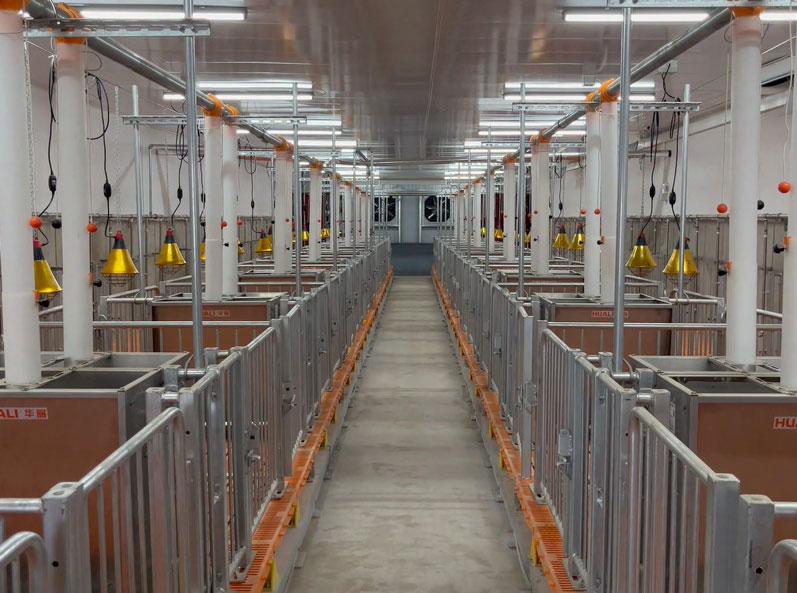 Basis Eksperimental Proyek Peternakan CAU Zhuozhou Hebei