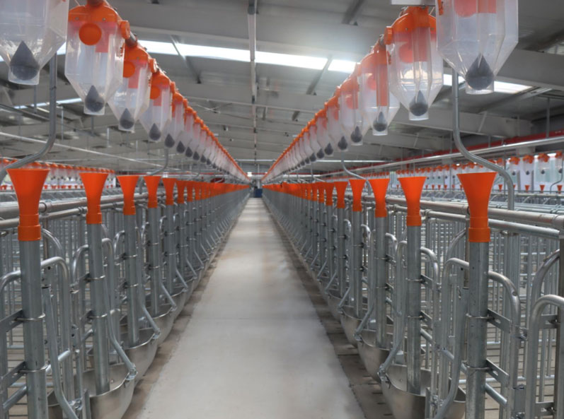 Basis Eksperimental Proyek Peternakan CAU Zhuozhou Hebei