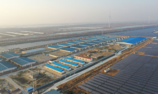 Proyek Peternakan Penggemukan COFCO Dongtai Jiangsu
