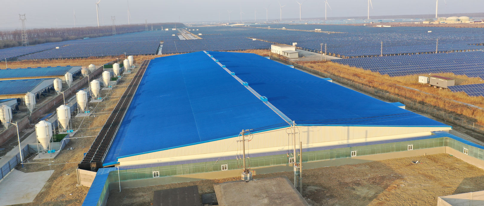 Proyek Peternakan Penggemukan COFCO Dongtai Jiangsu