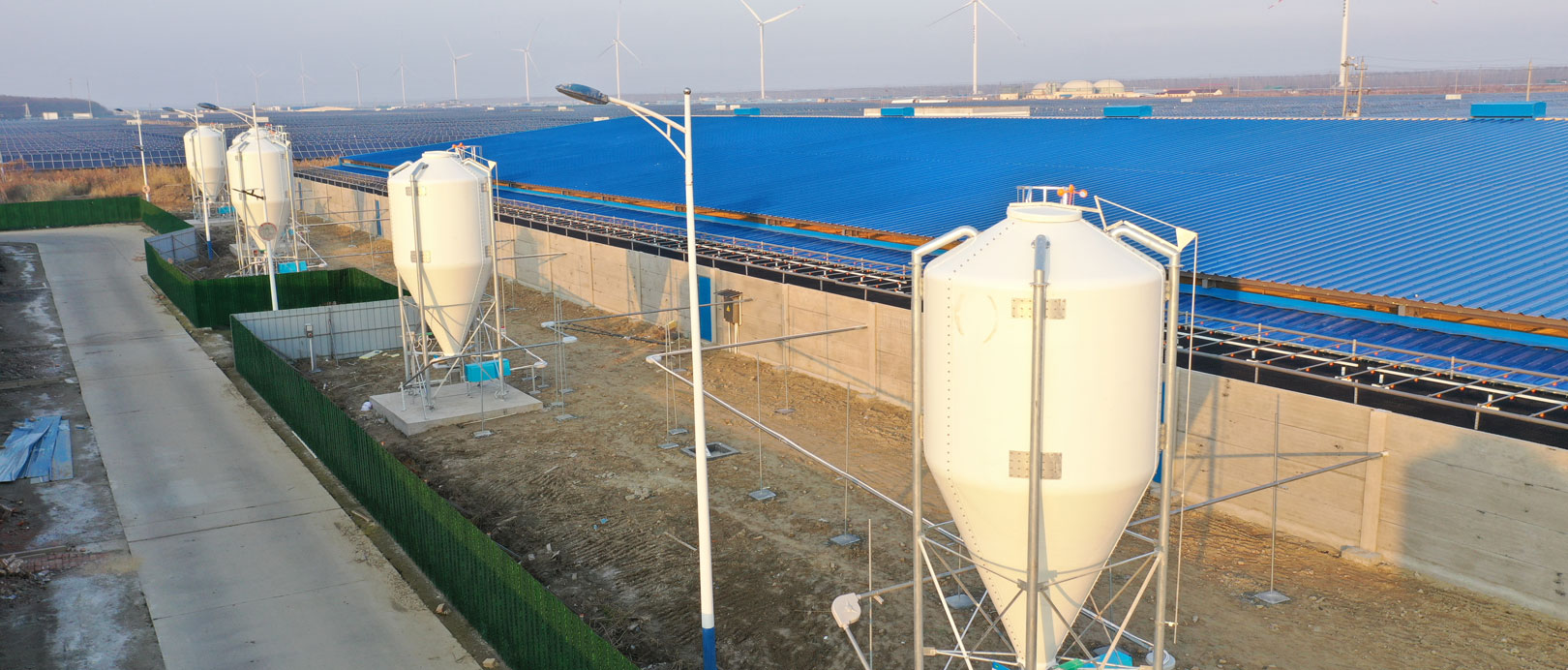 Proyek Peternakan Penggemukan COFCO Dongtai Jiangsu