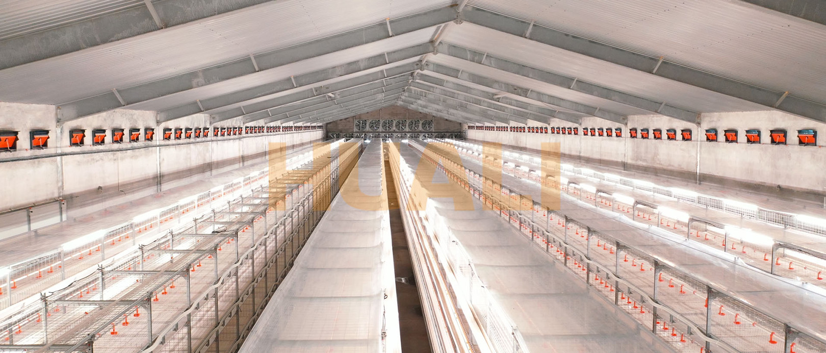 Proyek Peternakan Kandang Broiler Shandong