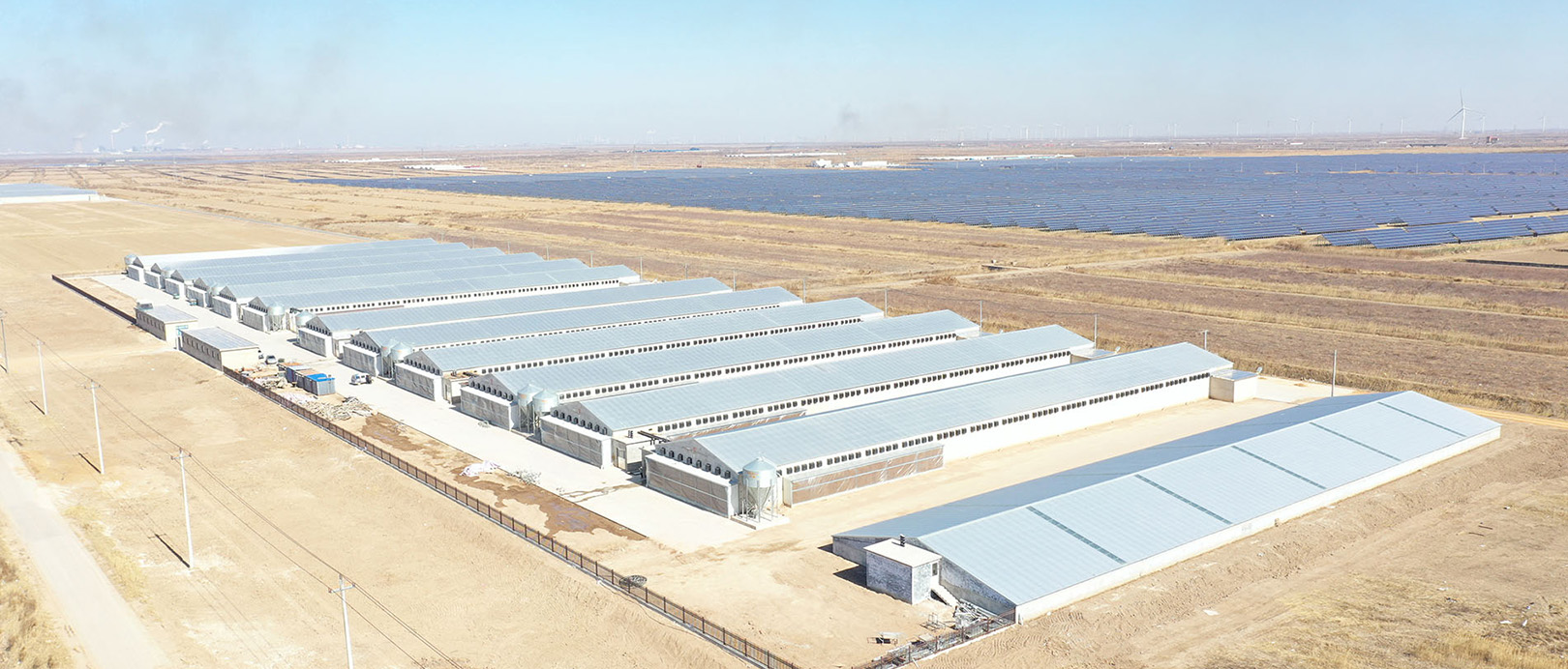 Proyek Peternakan Kandang Broiler Shandong