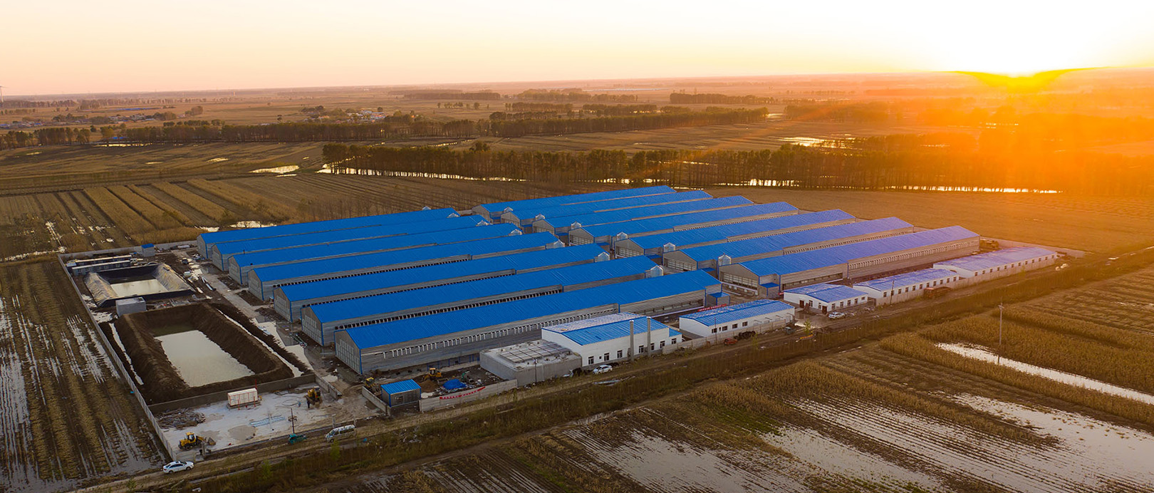 Proyek Peternakan Kandang Broiler Fuxin Shuanghui