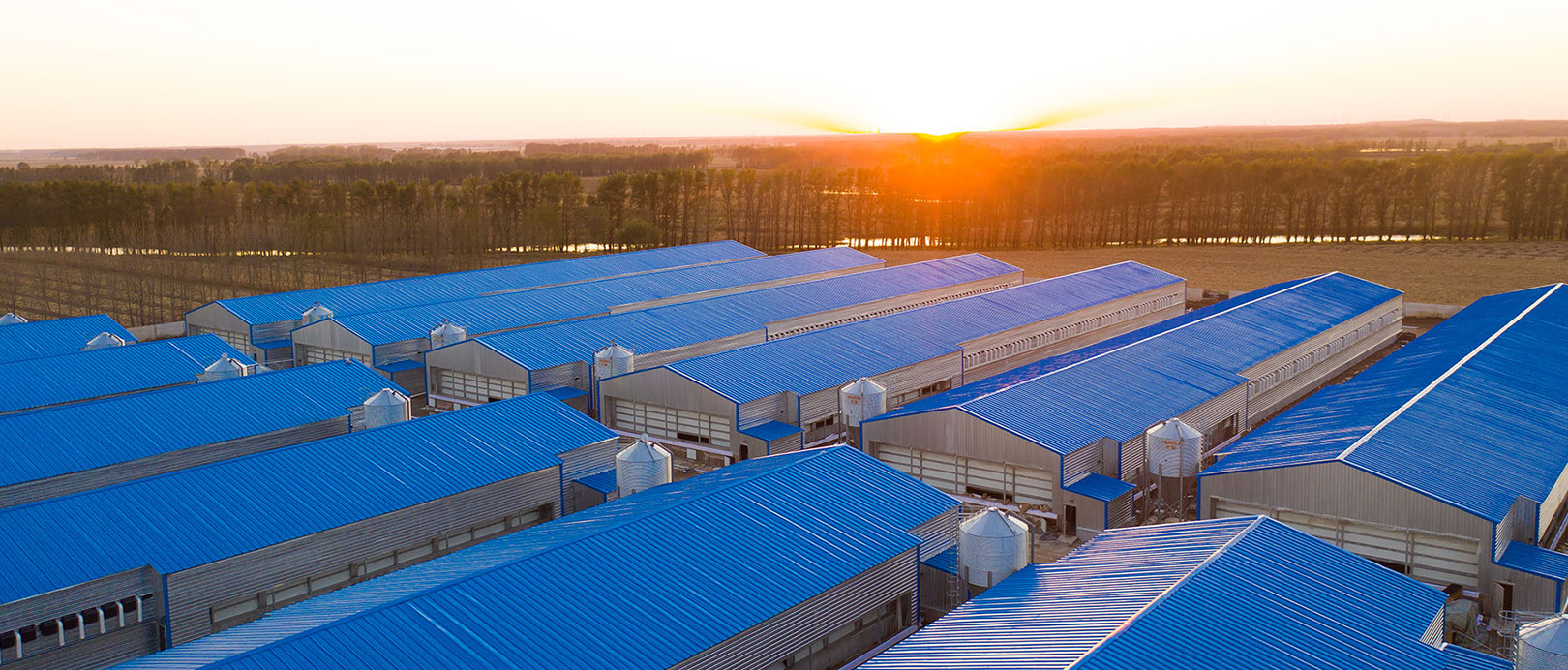 Proyek Peternakan Kandang Broiler Fuxin Shuanghui