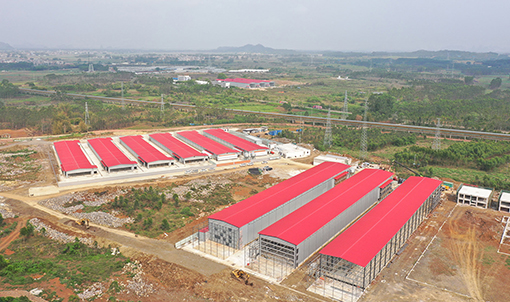 Proyek peternakan lapisan rantai industri penuh Guigang Tongfa 3,6 juta burung