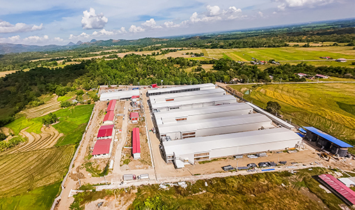 Proyek Peternakan Kandang Ayam Petelur Filipina