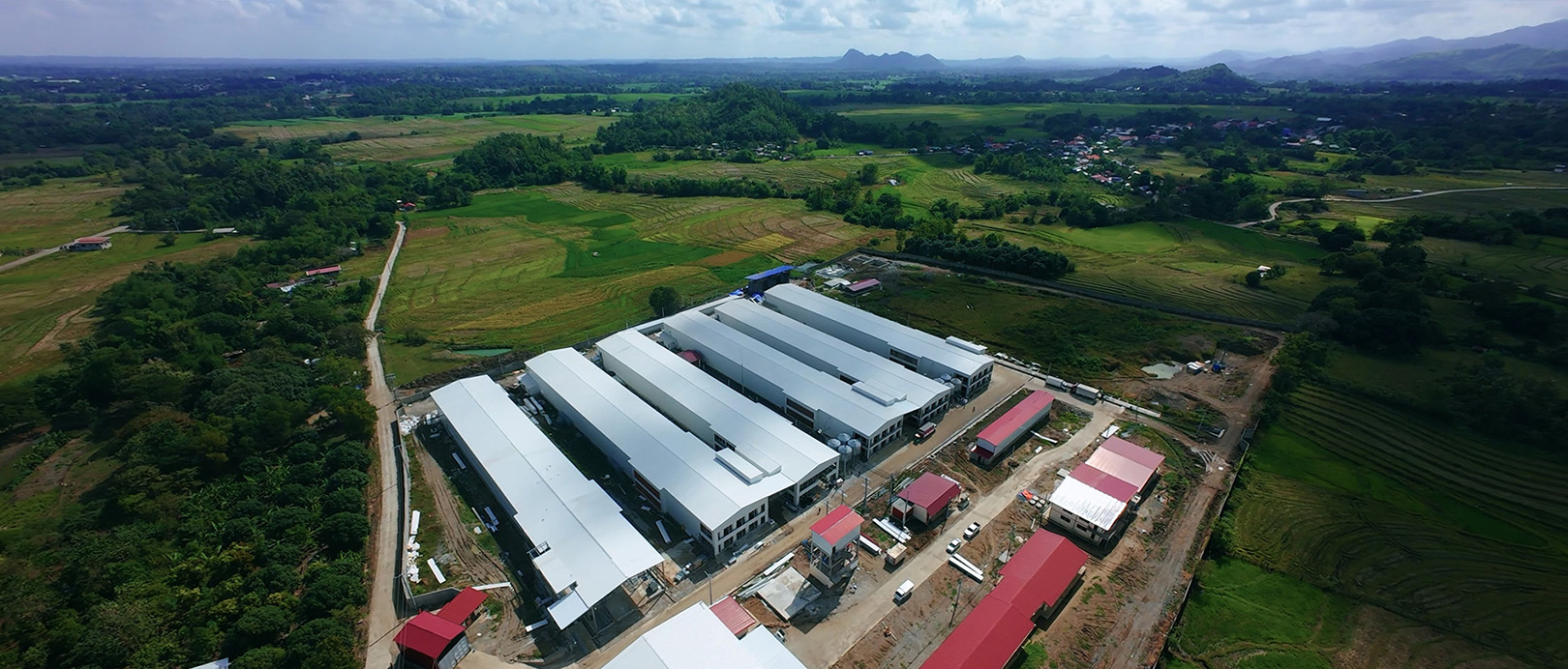 Proyek Peternakan Kandang Ayam Petelur Filipina