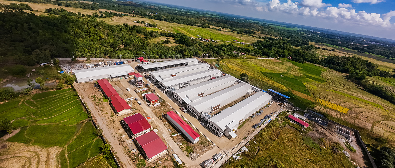 Proyek Peternakan Kandang Ayam Petelur Filipina