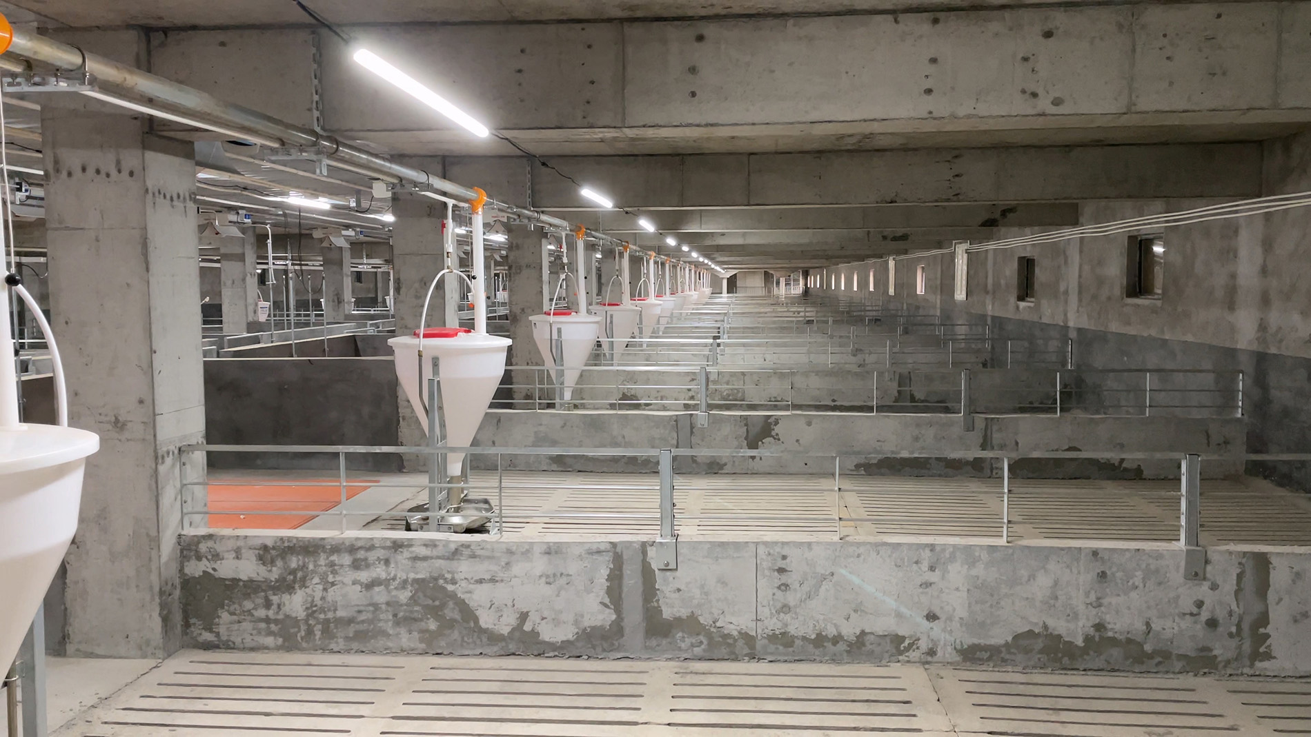 Proyek Peternakan Babi Tangrenshen 500.000 ekor