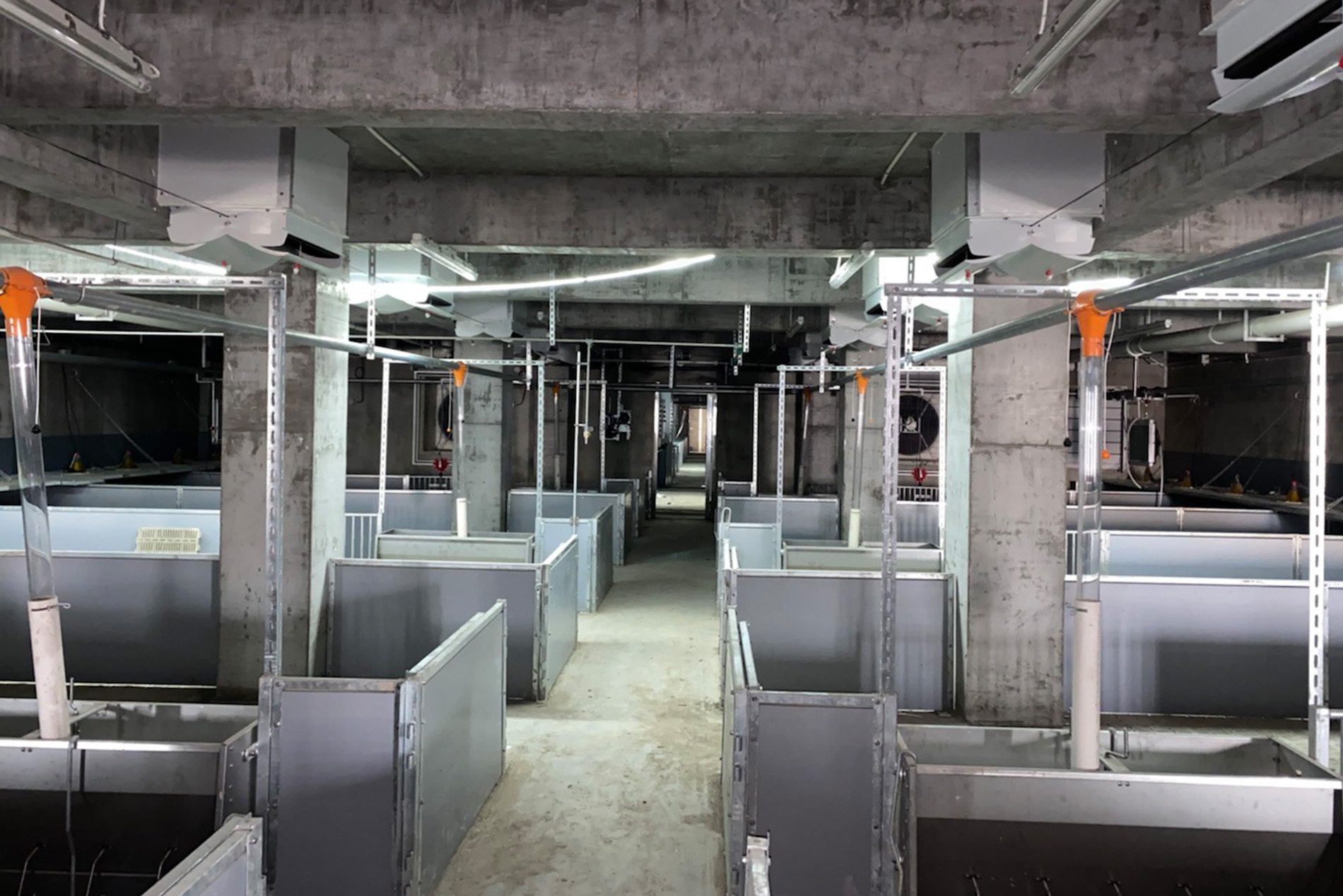 Proyek Gedung Bertingkat Dekon